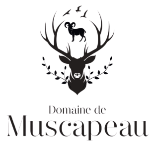 Logo du Domaine de Muscapeau