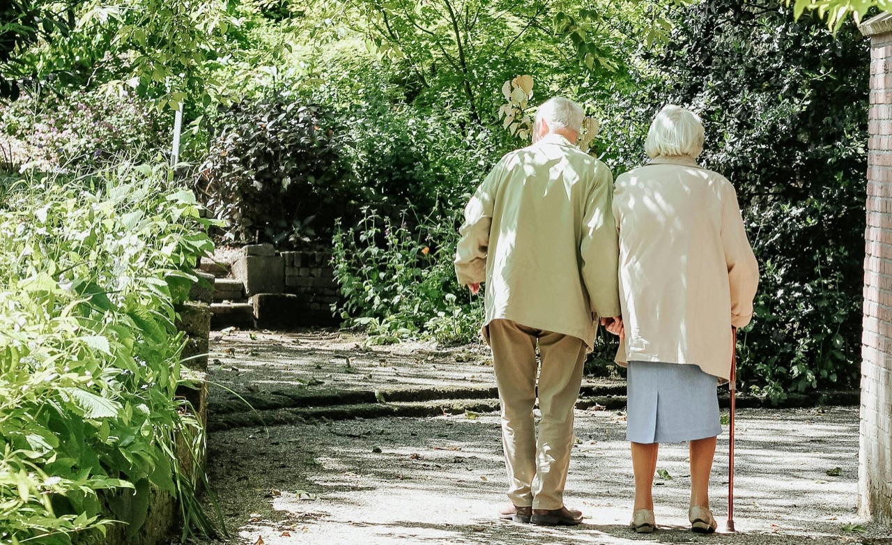 Un couple de personnes âgées marche côte à côte sur un chemin de jardin, vu de dos