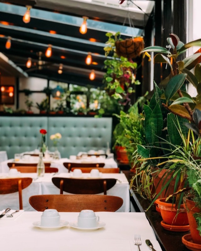 Une salle de restaurant : tables dressées, banquette verte et plantes en pot